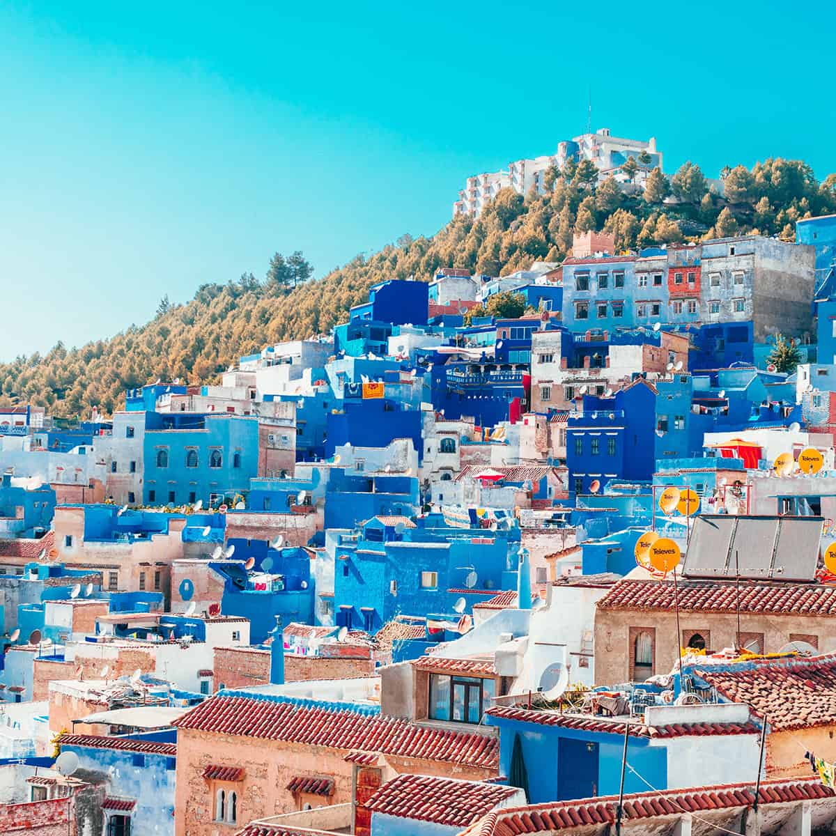 Welcome to TravelEasy: The Ultimate Travel Marketplace Connecting You to Morocco